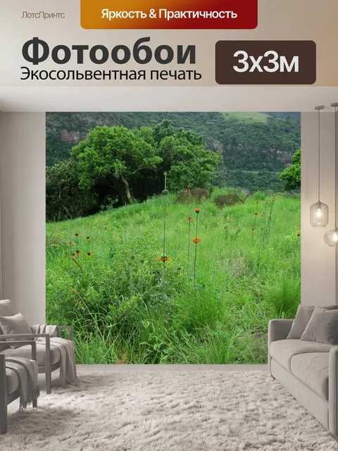 Фотообои львиные уши цветы на зеленом холме