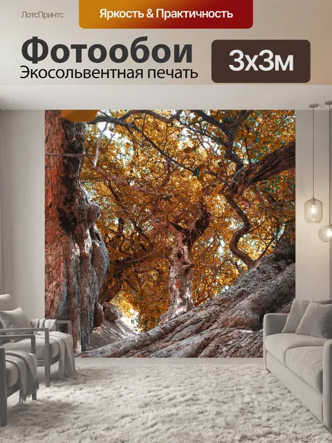 Фотообои Лес