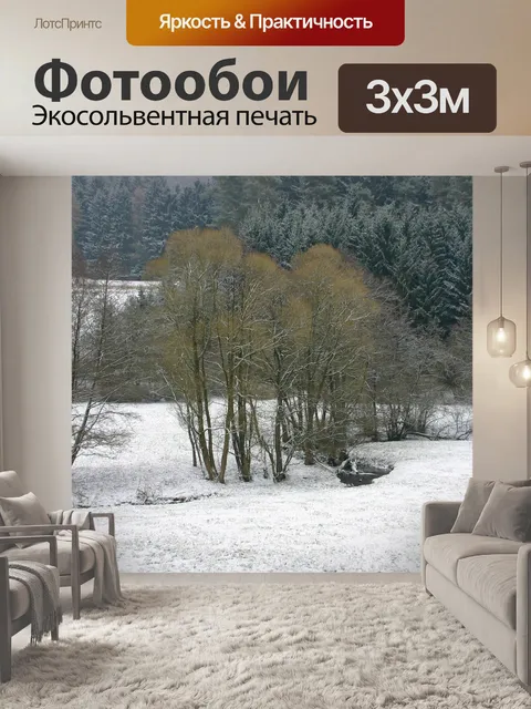 Фотообои Снег