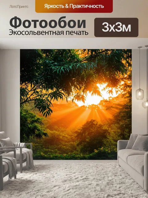 Фотообои джунгли в стиле минимализм: вечерний закат