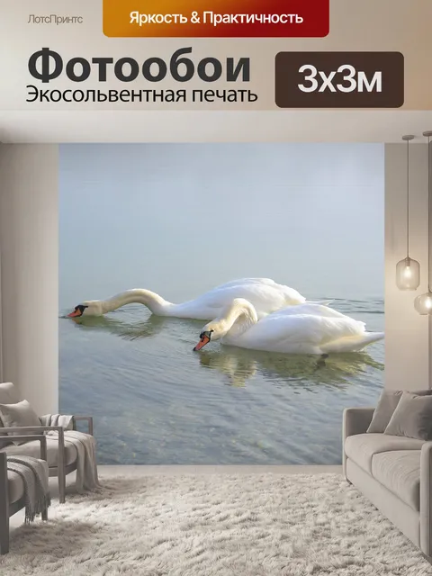 Фотообои Лебеди