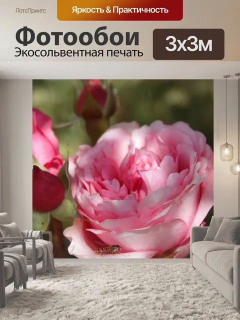 Фотообои Розы