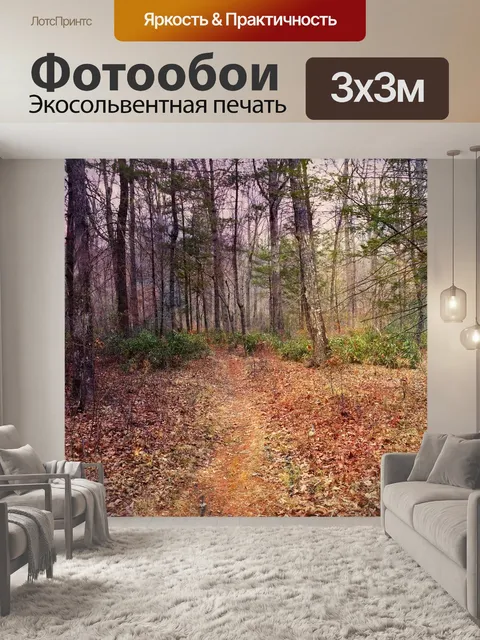 Фотообои Лес