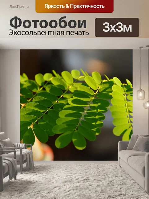 Фотообои Листья