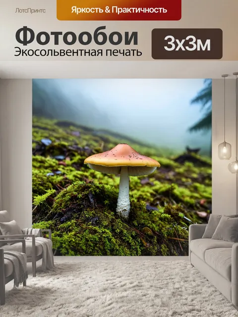 Фотообои грибы экзотические, в форме зонтиков, растущие в тумане, среди великолепных ландшафтов горах
