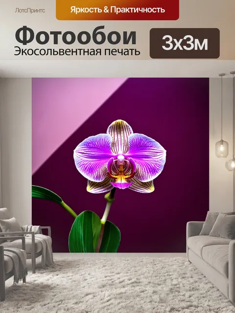 Фотообои орхидея на фоне геометрических форм, современный стиль