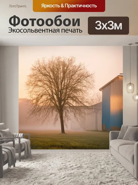 Фотообои легкая дымка утреннего света окутывает дерево, стоящее рядом с домом