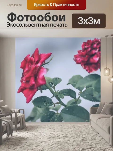 Фотообои Макрос