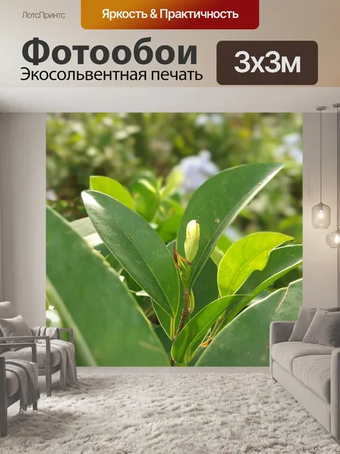 Фотообои Лист
