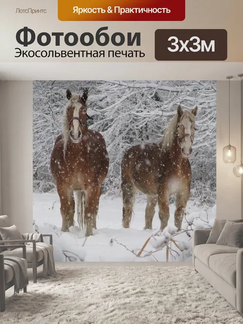 Фотообои Лошади