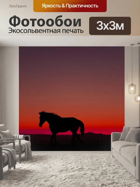 Фотообои Лошадь