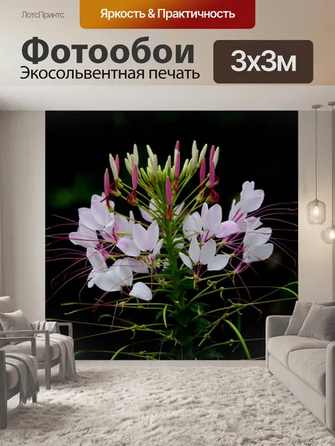 Фотообои Цветы