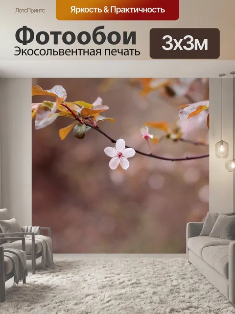 Фотообои Фон