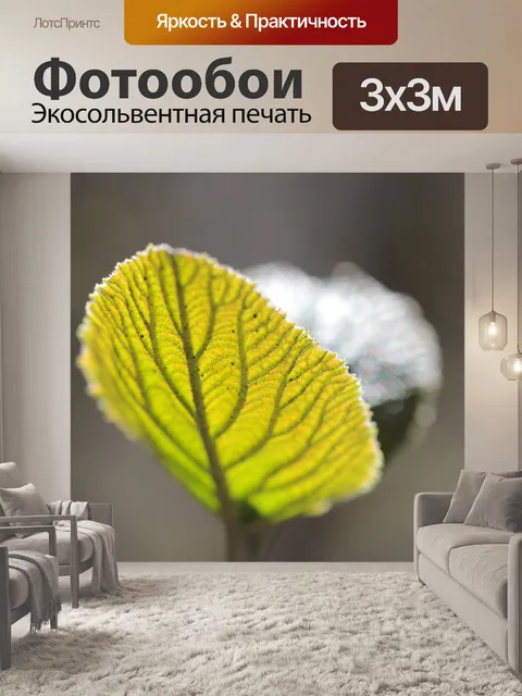Фотообои Природа