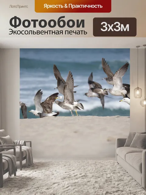 Фотообои Птица