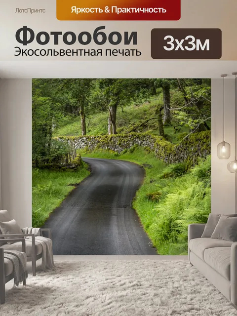Фотообои Путь через лес