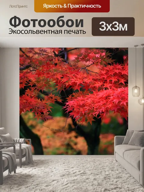 Фотообои Листья растения