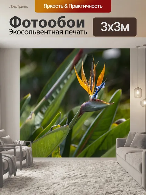 Фотообои Райская птица цветок