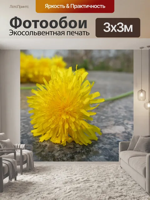 Фотообои Одуванчик