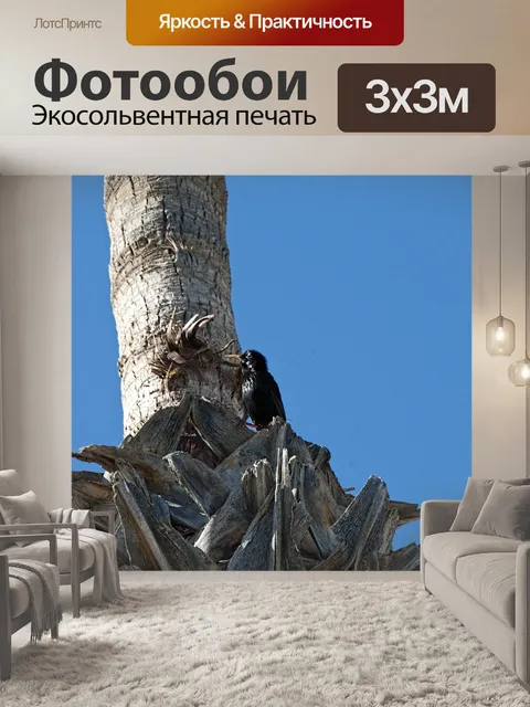 Фотообои Мина Птица в пальмовом дереве