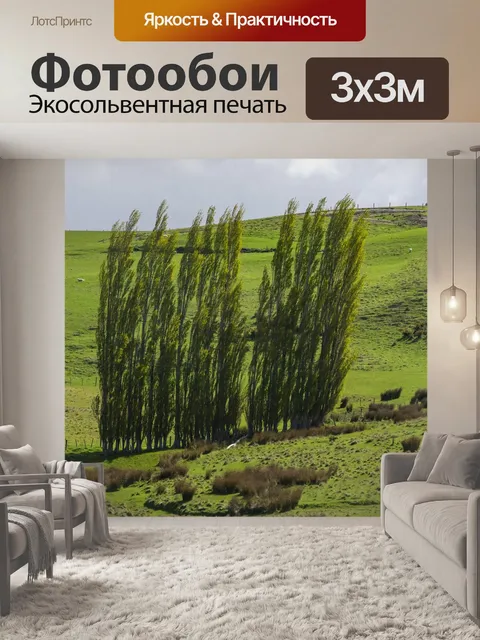 Фотообои Зеленый