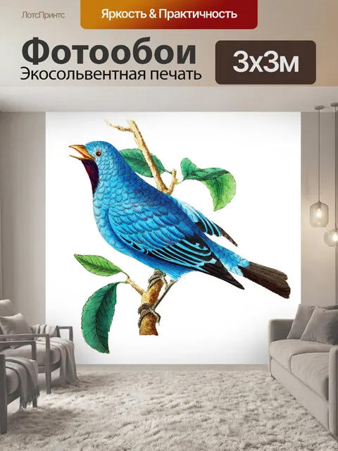 Фотообои Птицы тропических старинных искусства