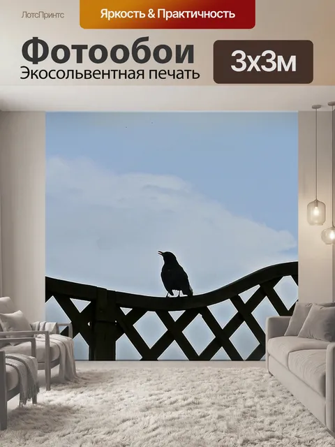 Фотообои Песнь о черной дрозде