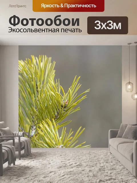 Фотообои Сосна