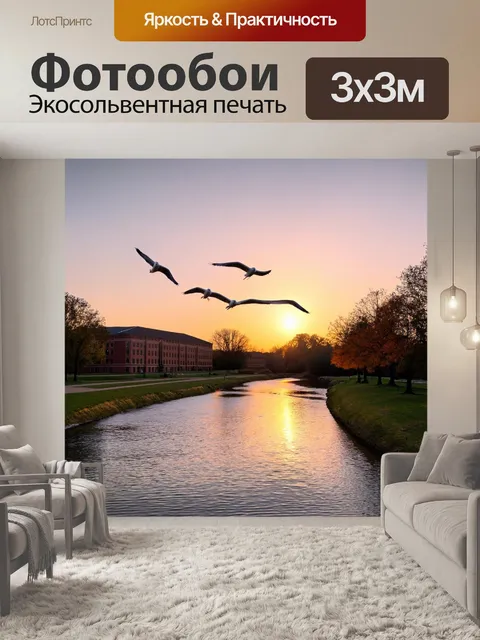 Фотообои красивые закаты над университетом с речкой и чайками, скользящими по поверхности воды