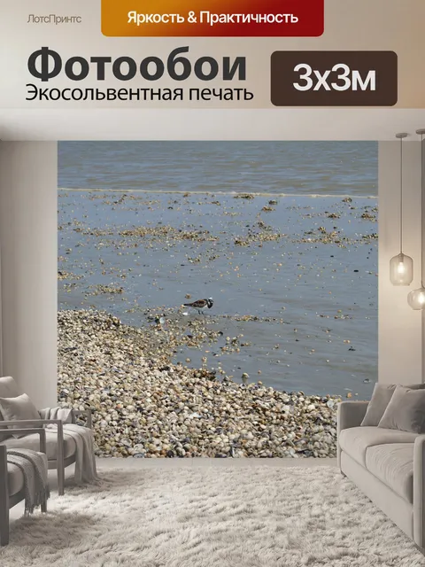 Фотообои Птица