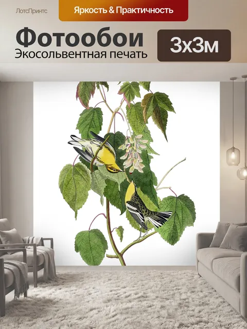 Фотообои Клипарт Birds flower vintage