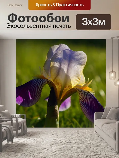 Фотообои Природа