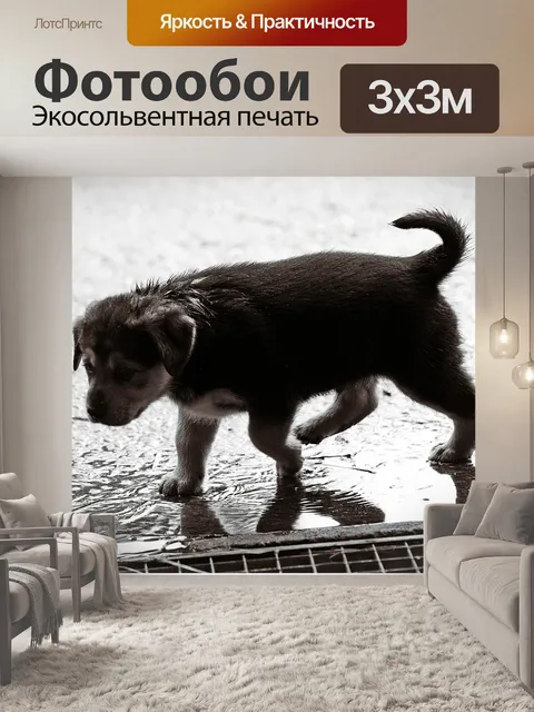 Фотообои Щенок