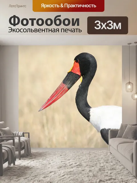 Фотообои Аист