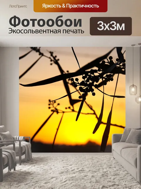 Фотообои Оливковое дерево оставляет силуэт