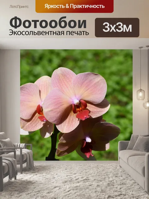 Фотообои Цветы