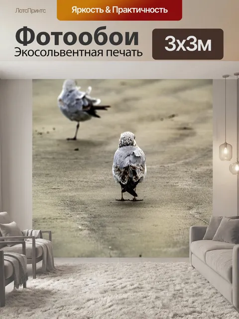 Фотообои чайка