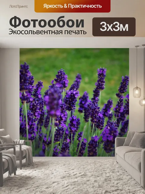 Фотообои Лаванда