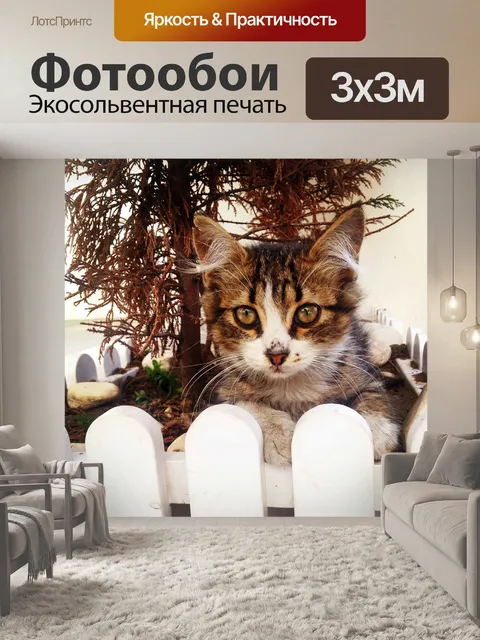 Фотообои Кошка