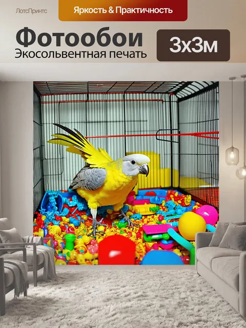 Фотообои корелла, играющая с игрушками в большой клетке, окруженная множеством ярких предметов