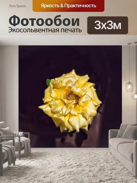 Фотообои Роза