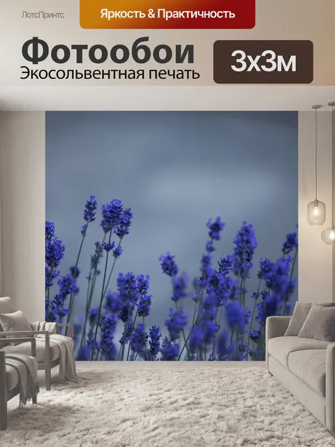Фотообои лаванда