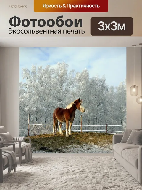 Фотообои Лошадь