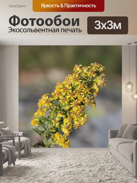 Фотообои Цветы