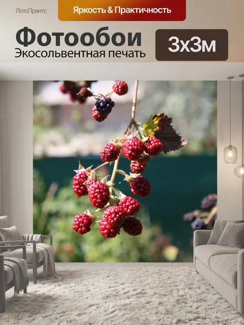 Фотообои Ягоды