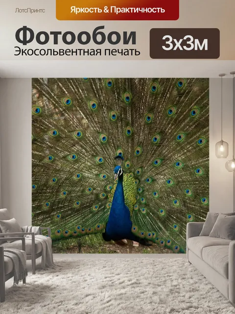 Фотообои павлин