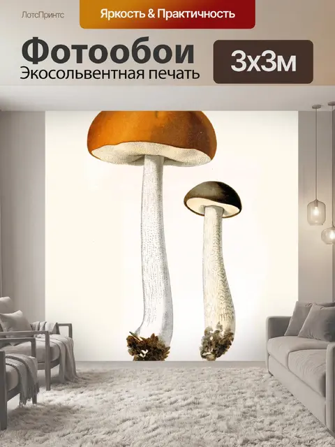 Фотообои Грибы винтаж арт старый