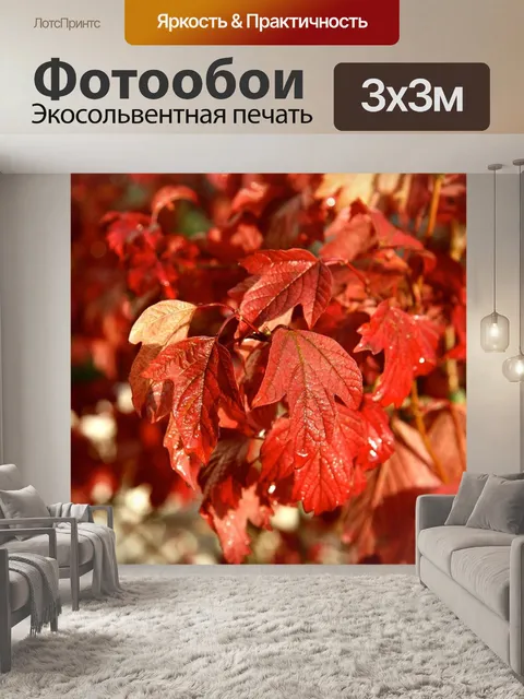Фотообои Листья