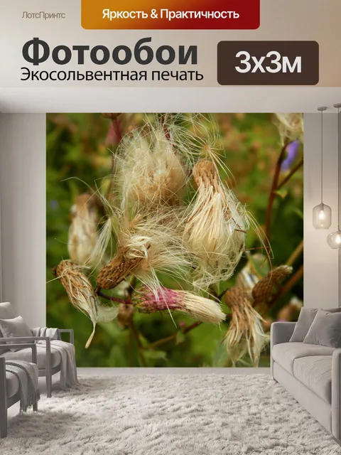 Фотообои Леса