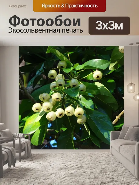 Фотообои Завод